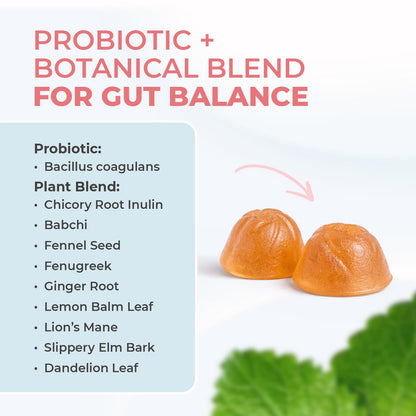 Nature’s NutriWave PrimeBiome Probiotic Gummies – Plant-Based Blend with Inulin, Lion’s Mane, Ginger & More– Non-GMO, No Stimulants,