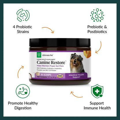 Ultimate Pet Nutrition Canine Restore, Gut Health Supplement with Prebiotics, Probiotics, & Postbiotics for Digestive Health & Immunity Support, Vet Formulated Powder Food Topper ULTIMATE PET NUTRITIONBuy Supplements Australia