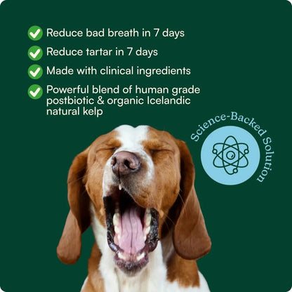 Reggie Dental Powder for Dogs | Reduce Bad Breath in 7 Days, Plaque & Tartar Control | Natural Dog Dental Supplement | Postbiotic Formula with Organic Kelp | Vet-Approved & Made in USA | 60 Servings ReggieBuy Supplements Australia