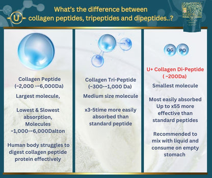 U+ Pure Collagen Dipeptide Supplement - Advanced Hydrolyzed Collagen Powder for Skin, Hair U+ Pure CollagenBuy Supplements Australia