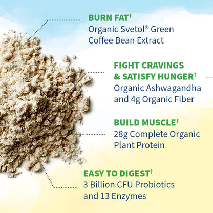 Garden of Life Raw Organic Fit Powder, Original - High Protein for Weight Loss (28g) Plus Garden of LifeBuy Supplements Australia