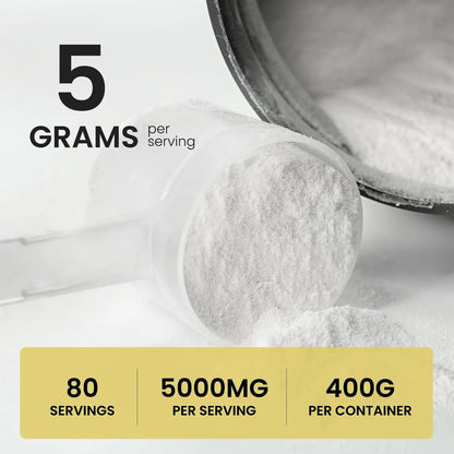 UpNourish Micronized Creatine Monohydrate Powder 400 G - Unflavored Vegan for Pre Workout, Muscle Building Pure Women and Men Instantized Supplement, 80 Servings 14.1096 Ounce UpNourish buy supplements Au