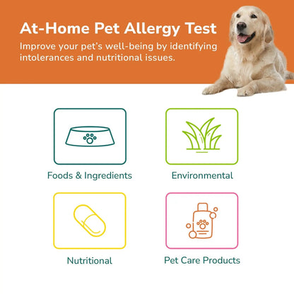 TotalVet Dog Allergy +1000 Food & Nutritional Sensitivity Test, Pet Intolerance Kit at Home — Advanced Complement to DNA Tests for Complete Pet Wellness TotalVetBuy Supplements Australia