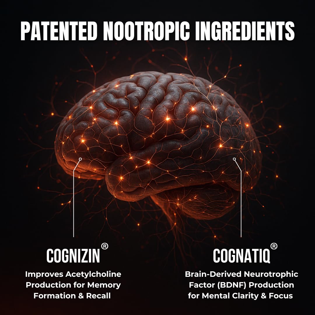 Advanced Nootropic Brain Supplement for Energy, Memory, & Focus | Lion's Mane, Caffeine, L-Theanine, and 5 Additional All-Natural Ingredients to Improve Cognitive Health (90 Capsules) HUMBLEROOTS PERFORMANCEBuy Supplements Australia