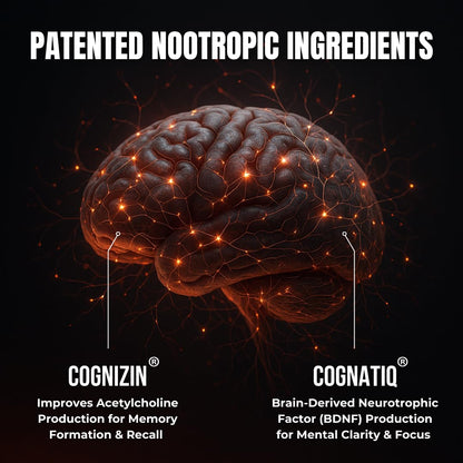 Advanced Nootropic Brain Supplement for Energy, Memory, & Focus | Lion's Mane, Caffeine, L-Theanine, and 5 Additional All-Natural Ingredients to Improve Cognitive Health (90 Capsules) HUMBLEROOTS PERFORMANCEBuy Supplements Australia