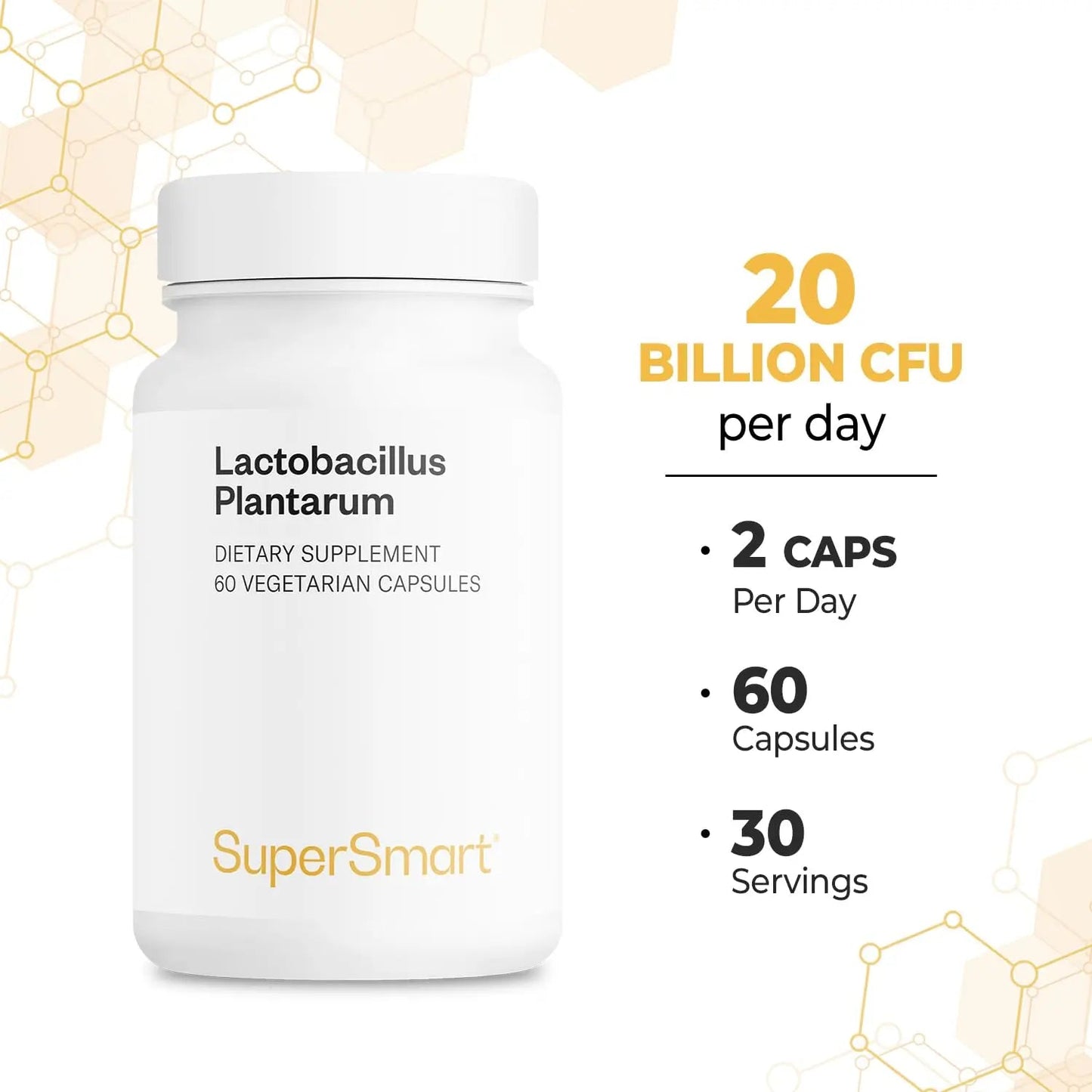 Supersmart - Lactobacillus Plantarum PostBiotic 20 Billion CFU per Day (Immuno-LP20) - Heat-Treated Probiotic Supplement | Non-GMO & Gluten Free - 60 Vegetarian Capsules SupersmartBuy Supplements Australia