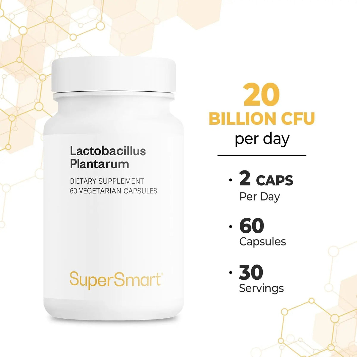 Supersmart - Lactobacillus Plantarum PostBiotic 20 Billion CFU per Day (Immuno-LP20) - Heat-Treated Probiotic Supplement | Non-GMO & Gluten Free - 60 Vegetarian Capsules SupersmartBuy Supplements Australia