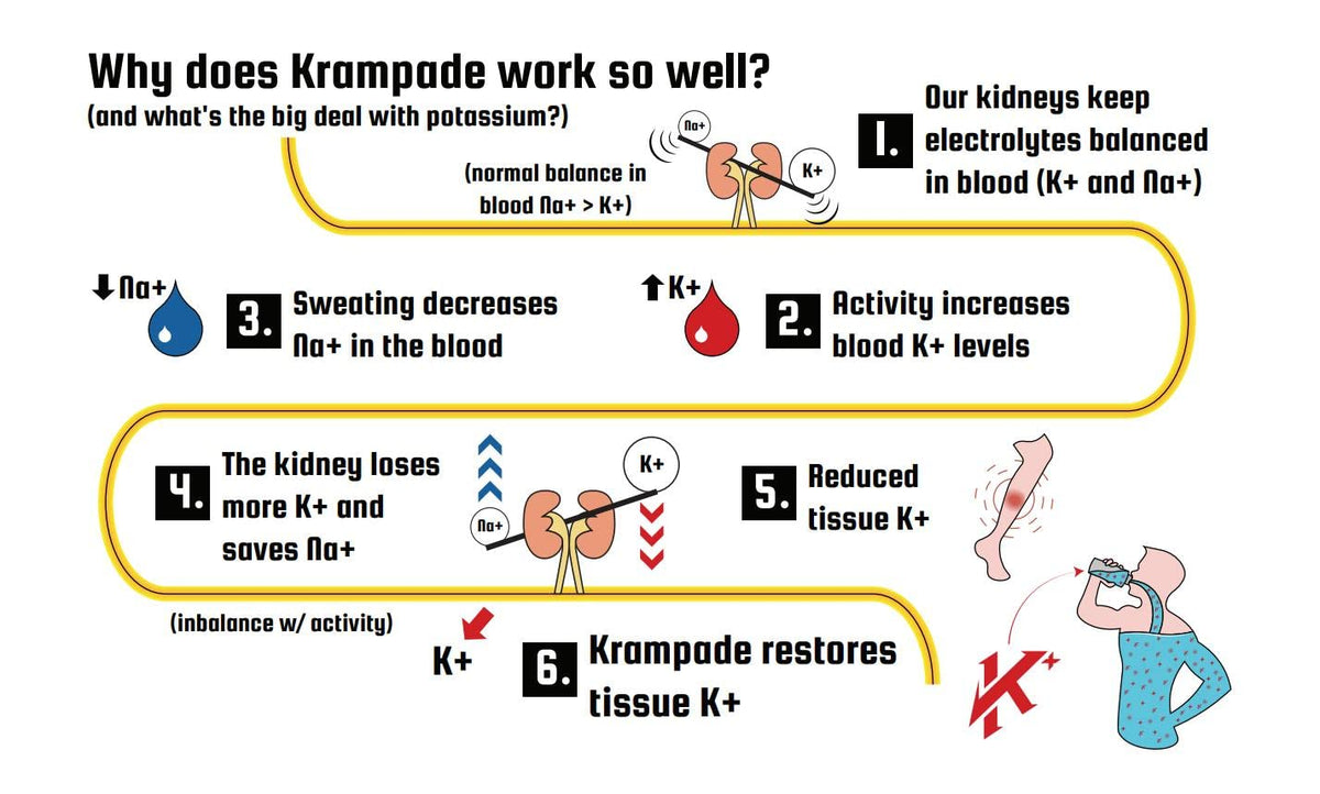 Krampade Original Lemon Lime 4K, 4000 mg Potassium Instant Cramp Relief Electrolyte Drink Powder | Designed for Athletes and Crampers | 19-Serving Resealable Pouch KrampadeBuy Supplements Australia