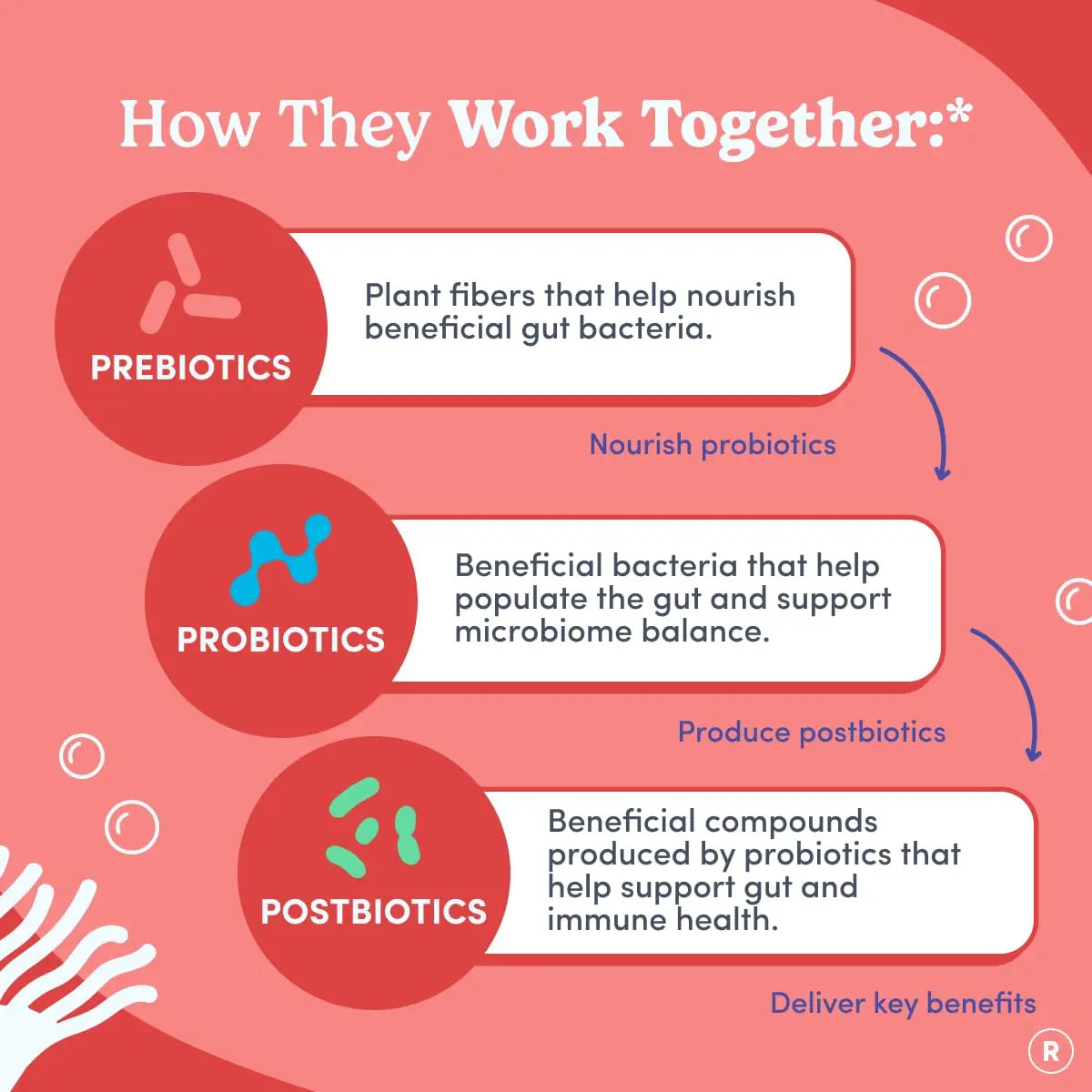 FIRST DAY Womens 3-in-1 Probiotic Gummies – Prebiotic + Probiotic + Postbiotic Supplement – Supports Digestive & Oral Health, Immune Function & Energy Levels – 30-Day Supply FIRST DAYBuy Supplements Australia