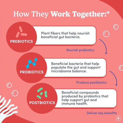 FIRST DAY Womens 3-in-1 Probiotic Gummies – Prebiotic + Probiotic + Postbiotic Supplement – Supports Digestive & Oral Health, Immune Function & Energy Levels – 30-Day Supply FIRST DAYBuy Supplements Australia