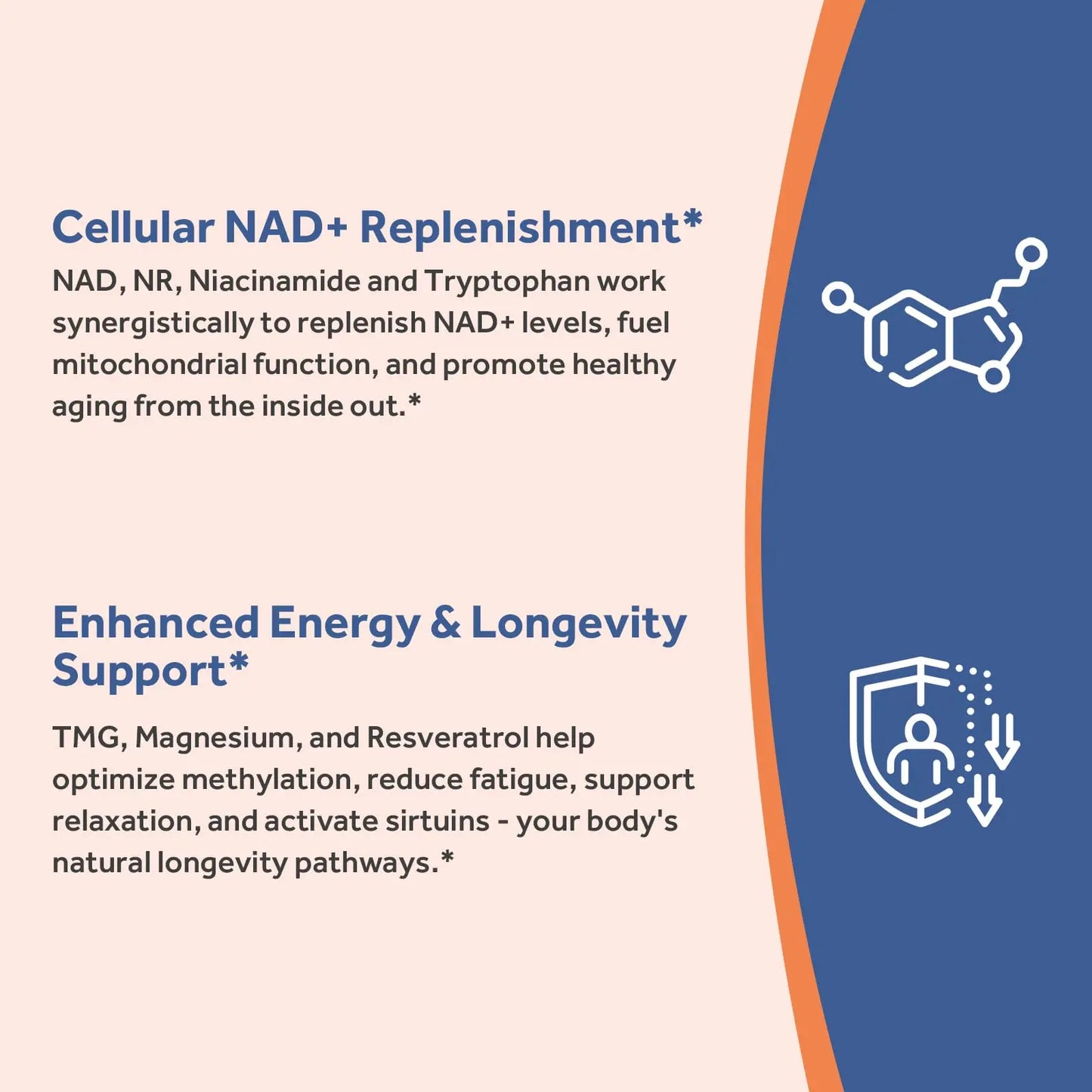 Doctor's Recipes NAD Supplement, Nicotinamide Riboside, Resveratrol, NMN Alternative for Anti-Aging, w/Magnesium Glycinate & L-Tryptophan, 650mg Per Serving, Energy & Mood Boost, 60 Vegan Capsules Doctor's RecipesBuy Supplements Australia