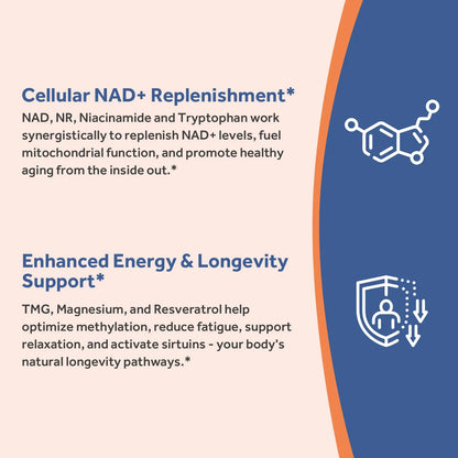 Doctor's Recipes NAD Supplement, Nicotinamide Riboside, Resveratrol, NMN Alternative for Anti-Aging, w/Magnesium Glycinate & L-Tryptophan, 650mg Per Serving, Energy & Mood Boost, 60 Vegan Capsules Doctor's RecipesBuy Supplements Australia