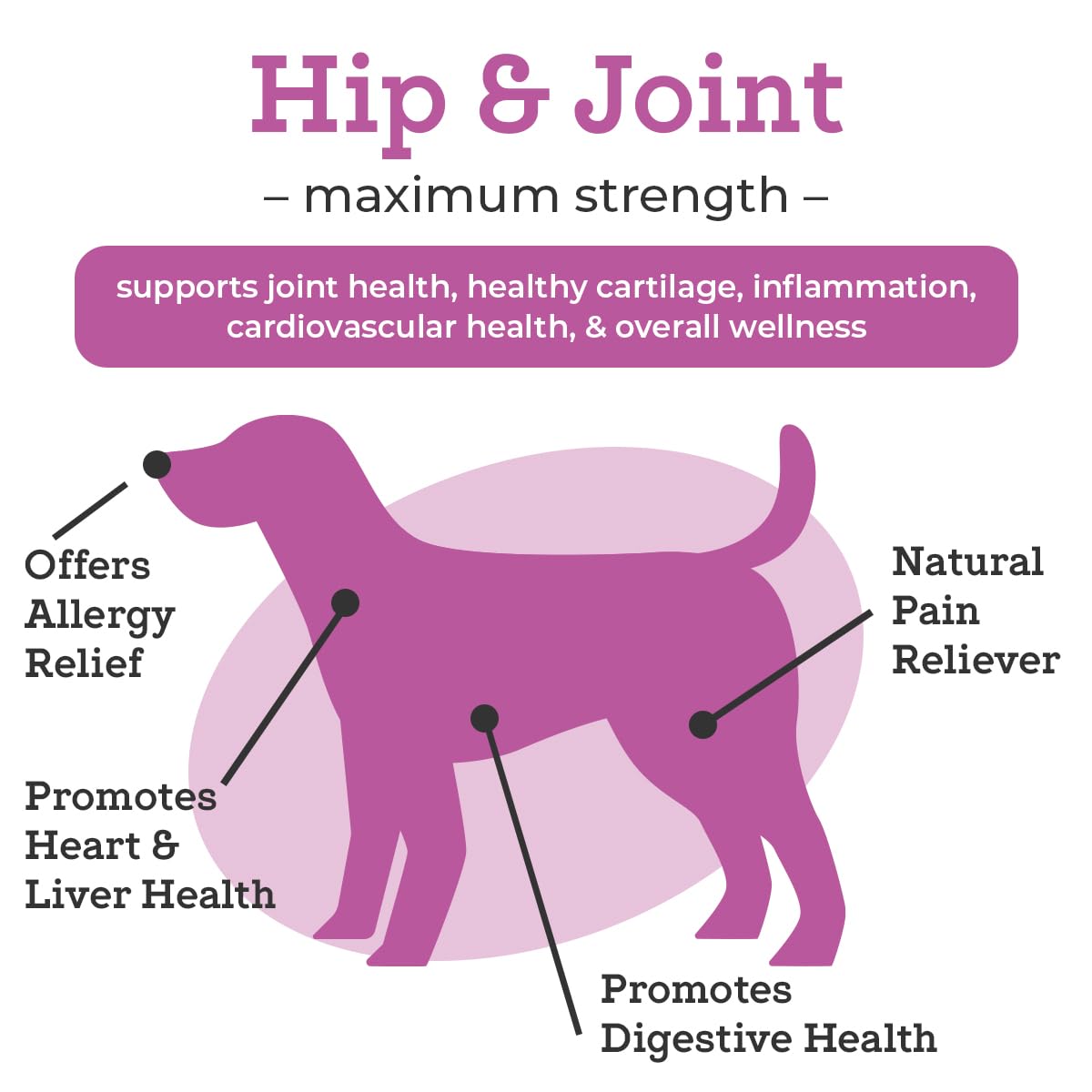 VetPro Dog Hip and Joint Supplement - Pain and Inflammation Relief Chews VetPro CompleteBuy Supplements Australia