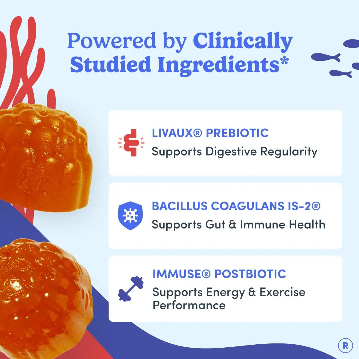 FIRST DAY 3 in 1 Probiotics for Men - Prebiotic, Probiotic & Postbiotic Supplement – Mens Probiotic for Digestive Health, Oral Health, Immune Function, Energy, Gut Health for Men – 30-Day Supply FIRST DAYBuy Supplements Australia