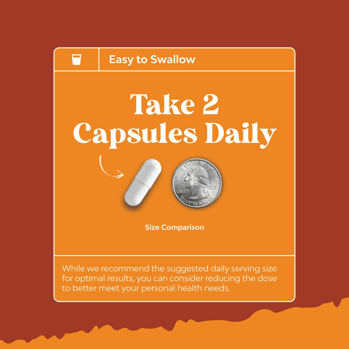 Natural White Kidney Bean Extract - White Kidney Bean Energy Booster AMPK Activator Natures CraftBuy Supplements Australia