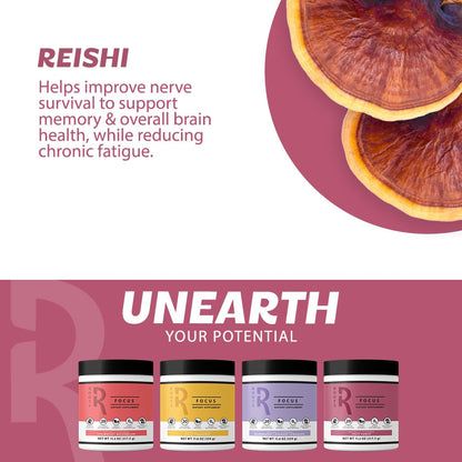 Roots Focus Brain Supplement - Nootropic Mushroom Supplement Powder for Memory, Focus, Energy - Lion's Mane, Cordyceps, and Reishi Mushrooms with Caffeine - Blackberry Lemonade, 15 On the Go Packets Silver Star NutritionBuy Supplements Australia
