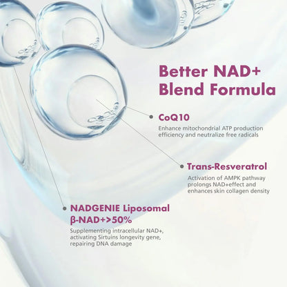 VHC NAD+ Supplement, NMN Alternative Liposomes with CoQ10, Trans-Resveratrol for Women & Men,Support Energy, Anti-Aging,Focus,90 Capsules VHCBuy Supplements Australia