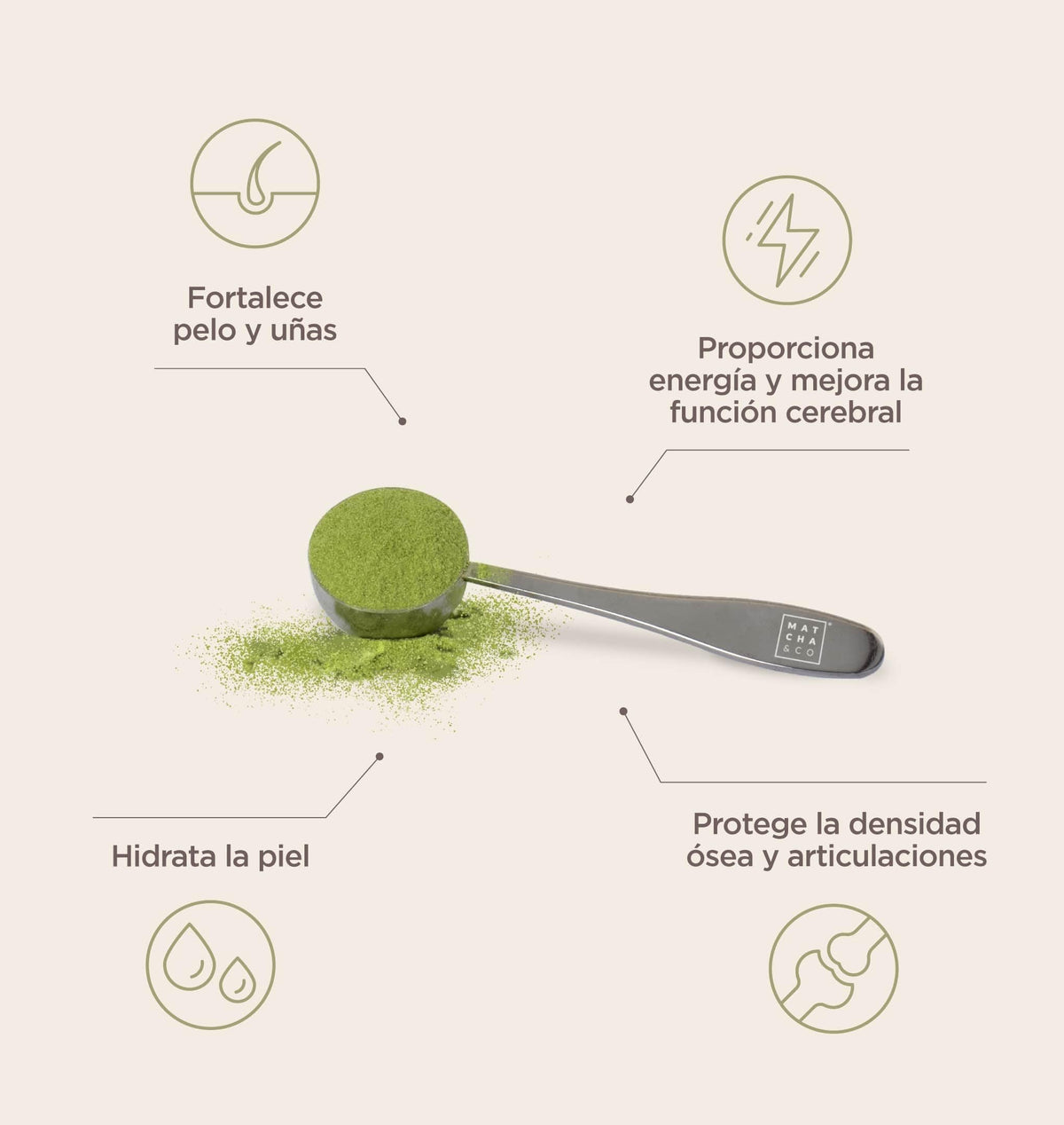 Collagen with Magnesium, Matcha Tea and Hyaluronic Acid. Joints, skin and nails Matcha & COBuy Supplements Australia