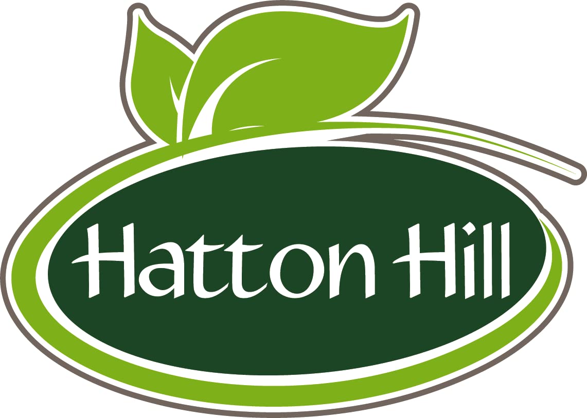SOYA Protein Isolate (90% Protein) 250g by Hatton Hill, Unflavoured, Vegan Protein Shake Hatton HillBuy Supplements Australia
