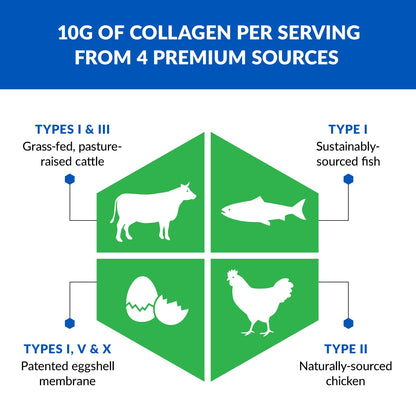 BioTrust Ageless Multi Collagen Peptides Powder – 5 Types (I, II, III, V, X) – Hydrolyzed BioTrustBuy Supplements Australia
