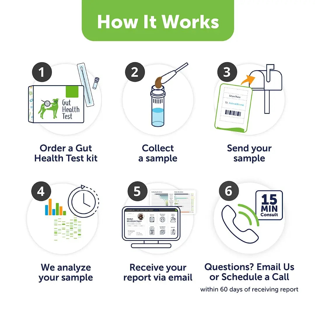 AnimalBiome Dog Gut Health Test – DoggyBiome At Home Stool Testing Kit, Canine Fecal Analysis for Digestive Issues, Diarrhea & Allergy Insights w/Personalized Report & Custom Plan (Dogs Outside US) AnimalBiomeBuy Supplements Australia