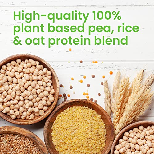 VPlab Vegan Protein Powder 500g - 16 Servings, 100% Plant Based and Natural Vegan Protein Shake vplab nutritionBuy Supplements Australia
