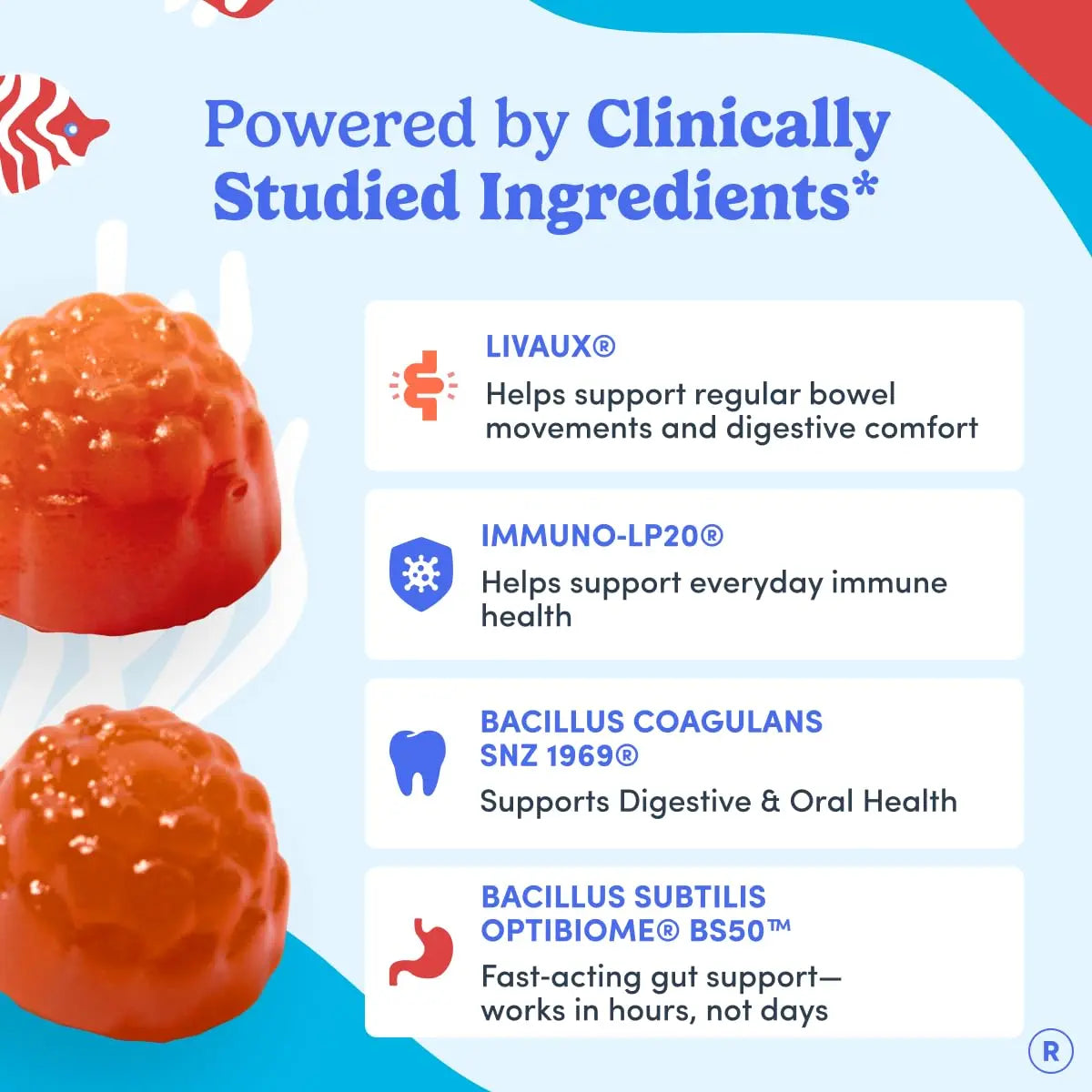 FIRST DAY Teens’ Gut Sustainer Tribiotic Gummies – 3-in-1 Prebiotic, Probiotic & Postbiotic Supplement – Supports Digestive, Skin, Oral & Immune Health, Nutrient Absorption & Growth – 30-Day Supply FIRST DAYBuy Supplements Australia