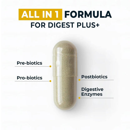 4-in-1 Prebiotic Probiotic & Postbiotic for Women & Men, Complete Gut & Digestive Support Supplement, Pre Post Probiotics & Digestive Enzymes 60 Capsules,Made in USA Divinity NutraBuy Supplements Australia