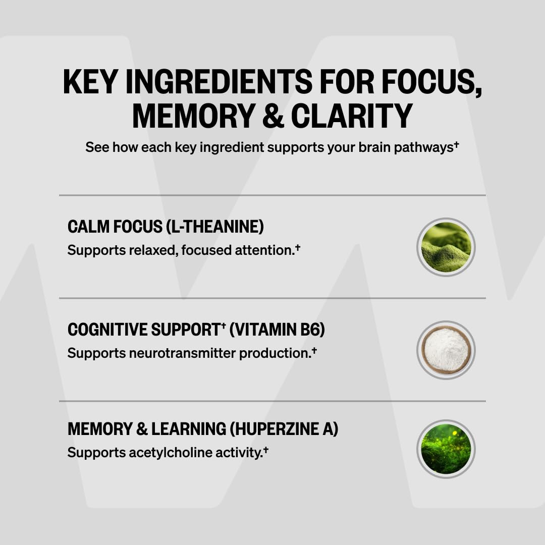 ONNIT Alpha Brain Nootropic Brain Supplement for Focus, Memory, Mental Clarity, Cognitive Support with L-Theanine and Vitamin B6, 90 Count ONNIT buy supplements Au