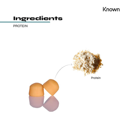 Protein 11g Gummies by Known Nutrition | Help Build and Maintain Healthy Muscle Mass KnownBuy Supplements Australia