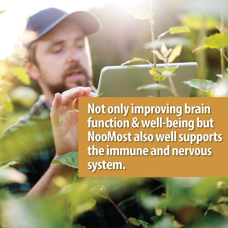 NooMost Organic Lions Mane Supplement Capsules 5400mg, Ginkgo Biloba 120mg NooMostBuy Supplements Australia