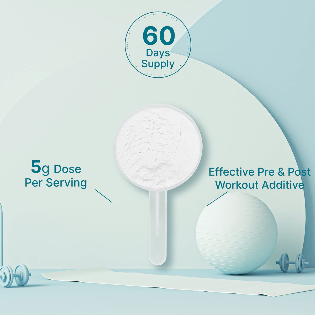 DEAL SUPPLEMENT Instant Creatine Monohydrate Powder, 5g Per Serving – 60 Servings | Micronized, Unflavored, Fast Absorbing Formula