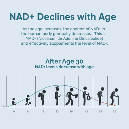 UltraViat NAD+ Supplement 1000mg, Premium NAD+ & Resveratrol Complex for Energy & Anti Aging - 120 Capsules UltraViatBuy Supplements Australia