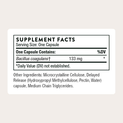 THORNE - Bacillus Coagulans Probiotic - Shelf Stable Probiotic Supplement to Promote GI Health* - 60 Capsules THORNE buy supplements Au