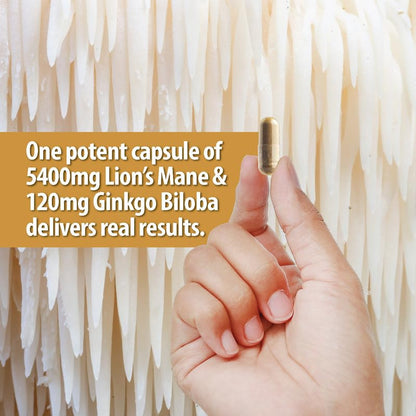 NooMost Organic Lions Mane Supplement Capsules 5400mg, Ginkgo Biloba 120mg NooMostBuy Supplements Australia