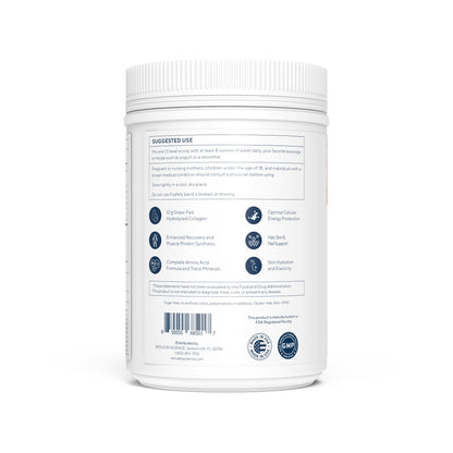 Renue By Science Skin & Body Essentials | Collagen Peptides Electrolytes Creatine & BCAA Powder | Collagen (12g) Creatine Monohydrate (4g) per Serving with Taurine & Glycine | Made in USA - Chocolate Renue By ScienceBuy Supplements Australia