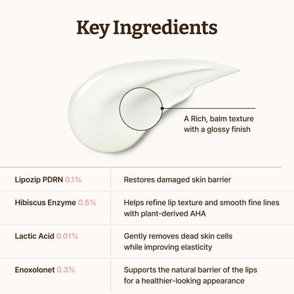 Dr. Reju-All Advanced PDRN Rejuvenating Lip Serum – Hydrating Lip Balm with Lipozip PDRN for Glowy, Dewy Lips