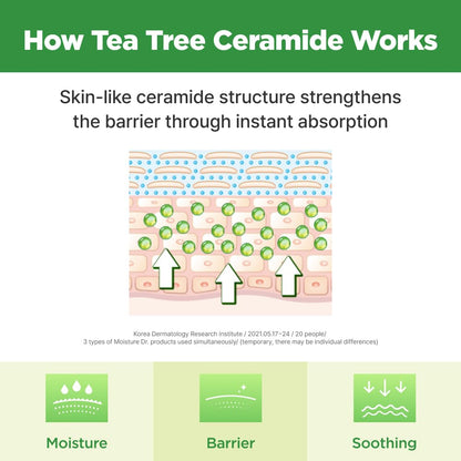 ISOI Moisture Dr. Mask Pack, Hydrating & Soothing Korean Sheet Mask for Face with Tea Tree, Ceramide & Hyaluronic Acid, Nourishing Skin Barrier Care, Korean Skin Care (10EA) ISOI buy supplements Au