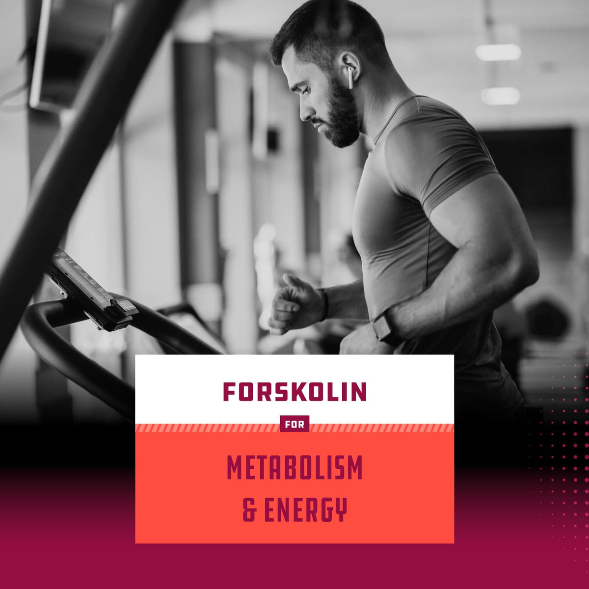 Pure Forskolin Extract - Fat Burning & Metabolism Boosting Weight Loss Supplement Natures CraftBuy Supplements Australia