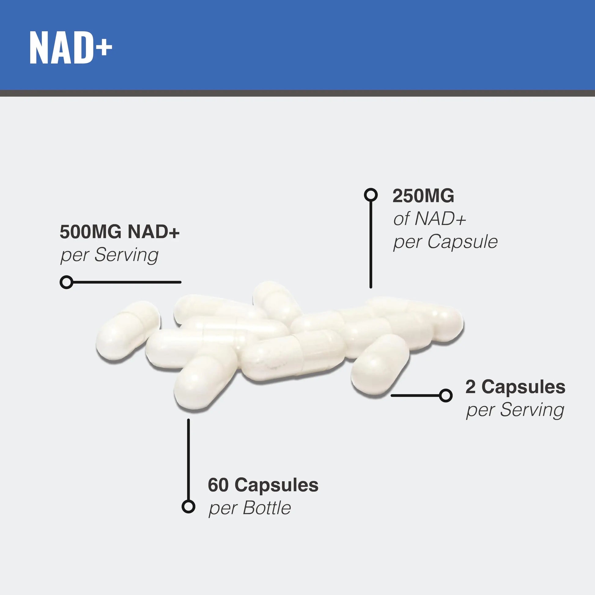 MAAC10 Liposomal NAD Supplement 500mg Serving (2x250mg Capsules) Actual Nicotinamide Adenine Dinucleotide MAAC10Buy Supplements Australia
