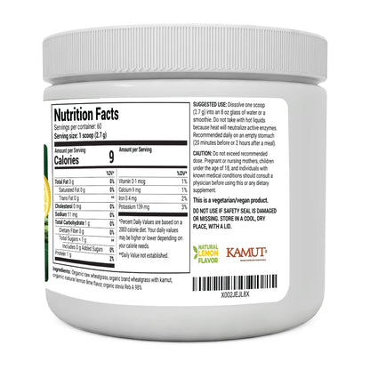 Dr. Berg's Raw Wheatgrass Juice Powder (60 Servings) - USDA Certified Organic Dr. Berg NutritionalsBuy Supplements Australia