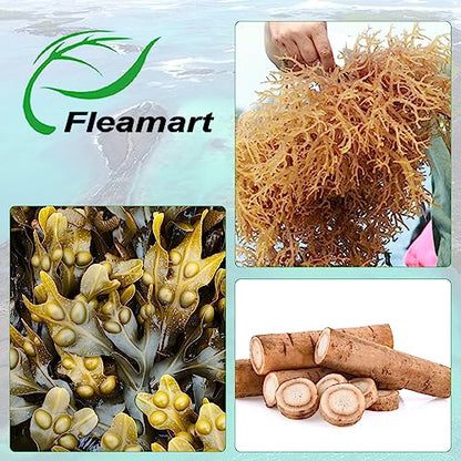 Fleamart 2 Pack Irish Sea Moss Capsules 120ct Raw Organic Sea Moss Wildcrafted Bladder FleamartBuy Supplements Australia