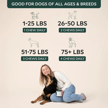 Nira Pet Probiotics for Dogs – 60 Beef-Flavored Chews with Postbiotics, Colostrum, Ashwagandha & Lactobacillus – Supports Gut Health, Immunity, Diarrhea, Gas & Stress Nira PetBuy Supplements Australia