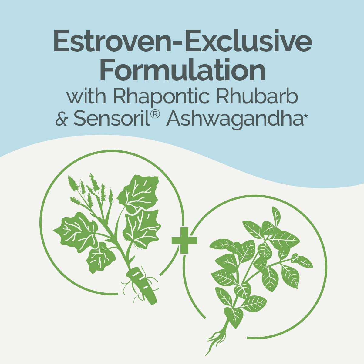 Estroven Complete + Ashwagandha Multi-Symptom Menopause Supplement for Women - 60 Ct. - Clinically Proven Ingredients Provide Menopause Relief & Night Sweats + Hot Flash Relief* - Drug-Free & Non-GMO EstrovenBuy Supplements Australia