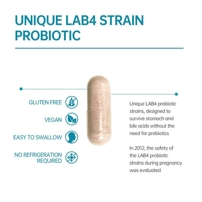 Digestive Probiotics 20X Lab4 Strains for Gut & Immune Health, Pro Formula for Men & Women, Probiotic Capsules Support Diarrhea, Bloating and Gas, Shelf Stable, Vegan, Gluten Free, 60 Days Supply purmeoBuy Supplements Australia