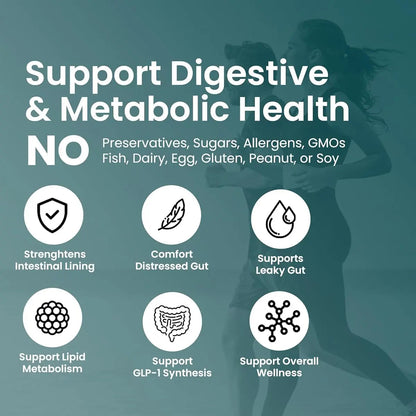UpNourish Probiotics for GLP-1 Support, 5 Billion TFU Akkermansia Muciniphila for Digestive Health, Leaky Gut, Immunity and Metabolic Health, Prebiotics and Probiotics for Women and Men, 60 Capsules UpNourish buy supplements Au