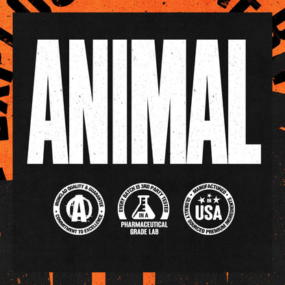 Animal Energy Chews, Fast Acting Energy with Caffeine, Nootropics and Sea Salt AnimalBuy Supplements Australia