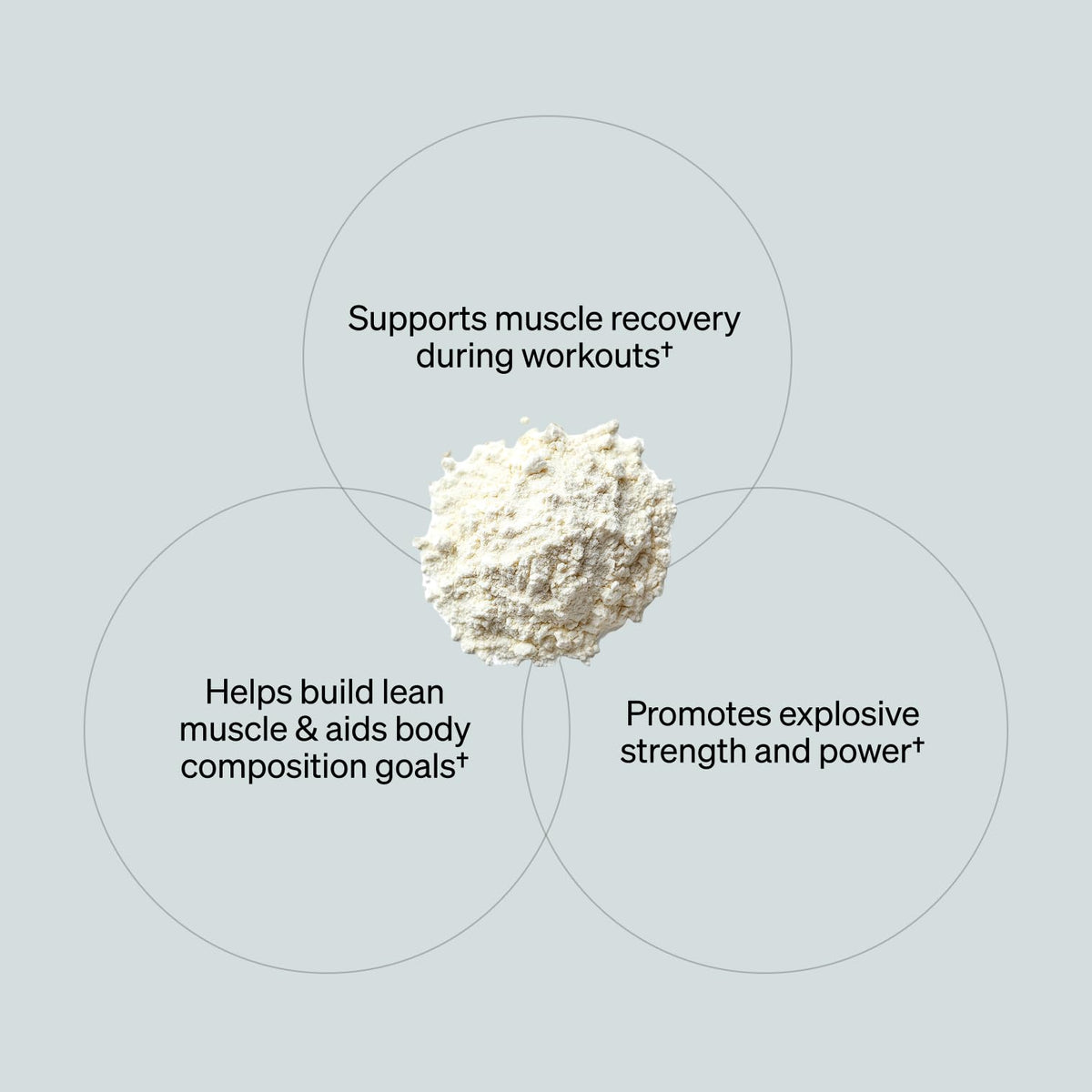 ONNIT Creatine Monohydrate Powder – Unflavored, 90-Serving Value Size – Supports Strength, Lean Muscle, and Brain Energy† – Keto Friendly, No Fillers, 90 Servings, 15.29 oz ONNITBuy Supplements Australia