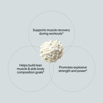 ONNIT Creatine Monohydrate Powder – Unflavored, 90-Serving Value Size – Supports Strength, Lean Muscle, and Brain Energy† – Keto Friendly, No Fillers, 90 Servings, 15.29 oz ONNITBuy Supplements Australia