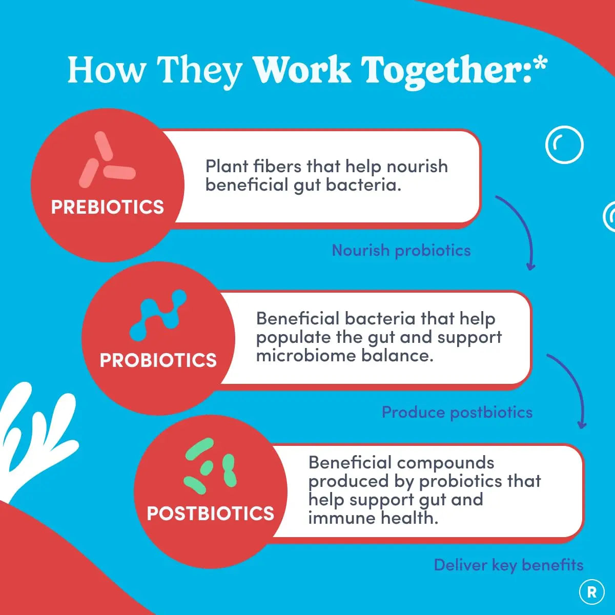 FIRST DAY Teens’ Gut Sustainer Tribiotic Gummies – 3-in-1 Prebiotic, Probiotic & Postbiotic Supplement – Supports Digestive, Skin, Oral & Immune Health, Nutrient Absorption & Growth – 60-Day Supply FIRST DAYBuy Supplements Australia
